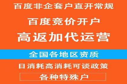 案例剖析：SEM代运营服务公司的优势与挑战